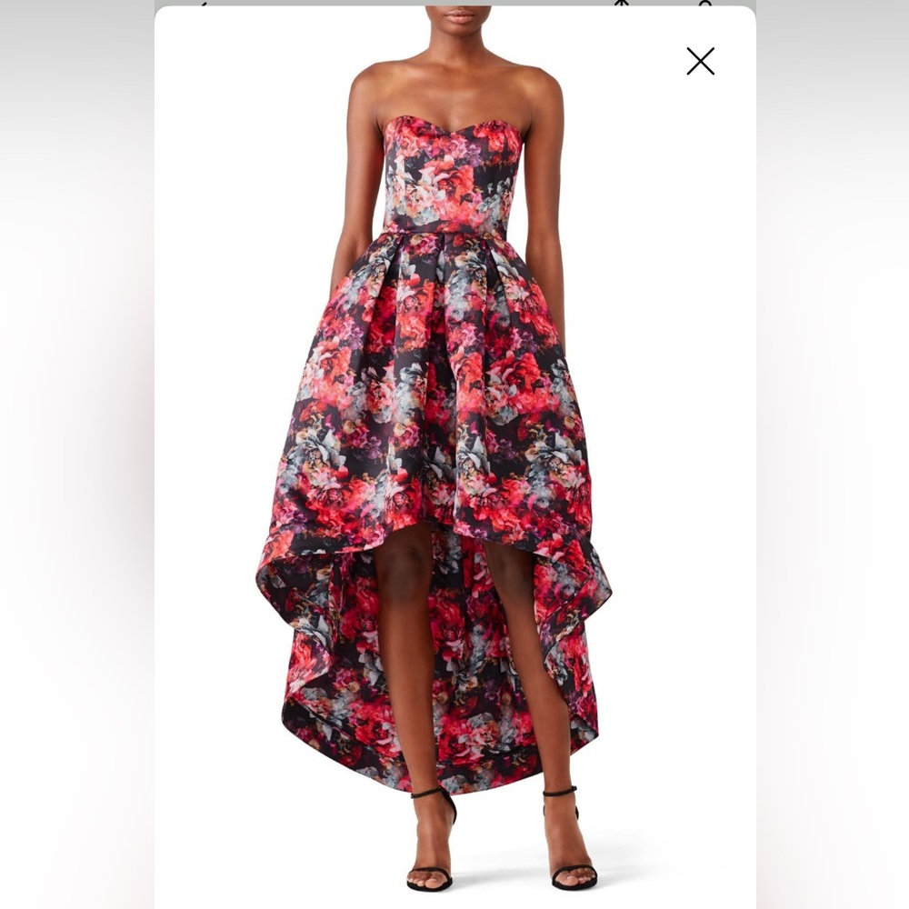 Parker Black label Abstract Floral High-Low Gown